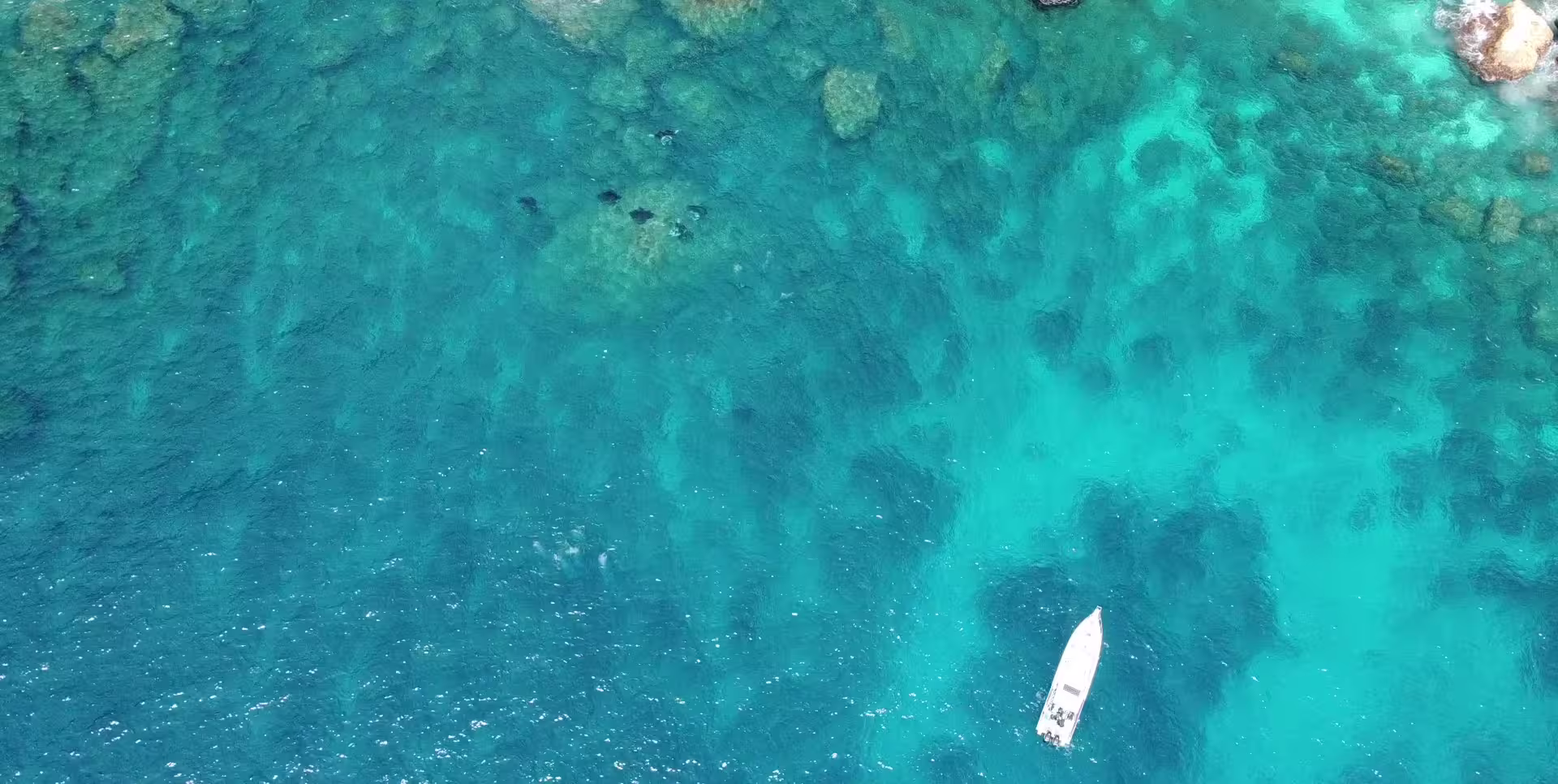 Dive into Wonder: Experiencing the Majestic Manta Rays of Nusa Penida's Manta Point